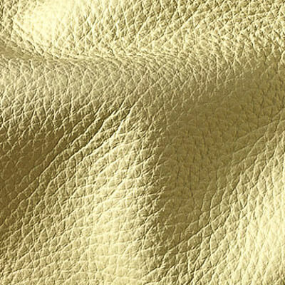 Torello Dollaro Americano